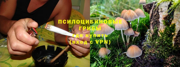 прущий лед Лагань