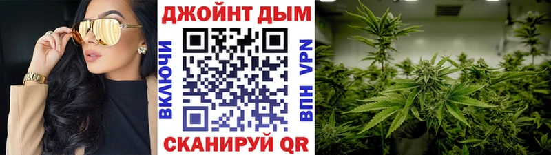 Конопля сатива  ссылка на мегу tor  Киселёвск 
